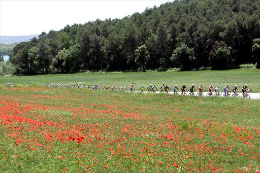 スペインは初夏の陽気