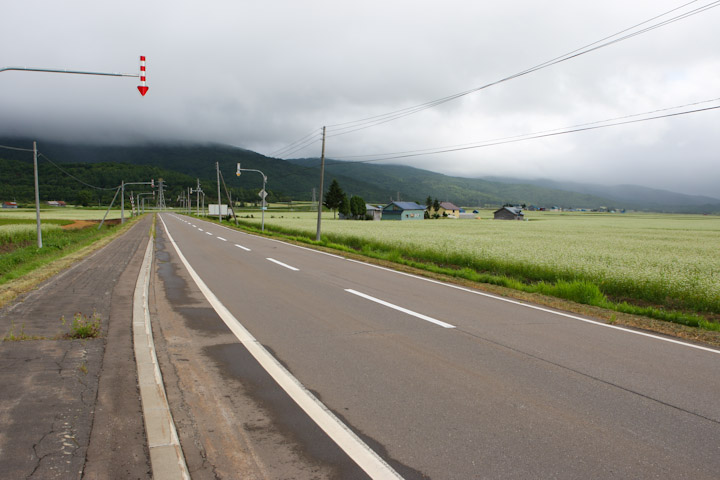 第2ステージ　そば畑が広がる幌加内