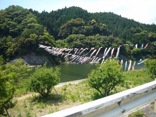 江の川に掛かる鯉のぼり