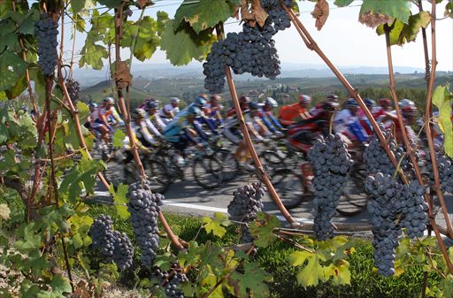 イタリアを代表するワインの産地ピエモンテ州を駆け抜ける