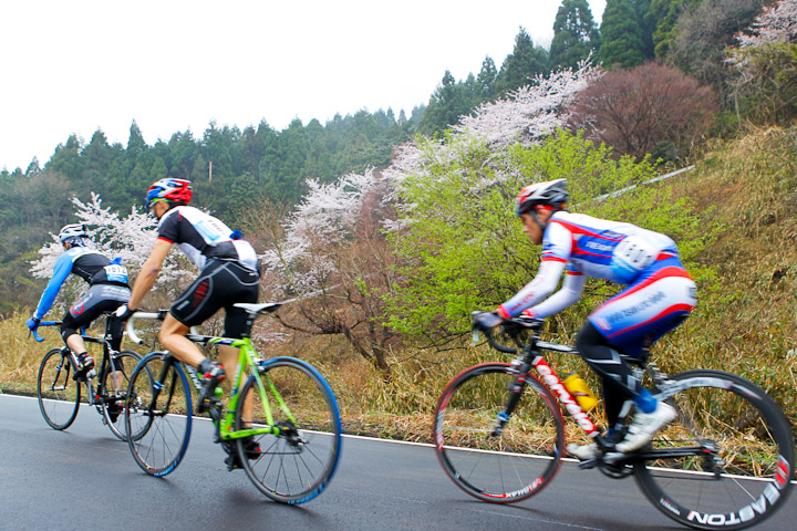 パナソニックヒルクライム　下界は桜と新緑がまぶしい