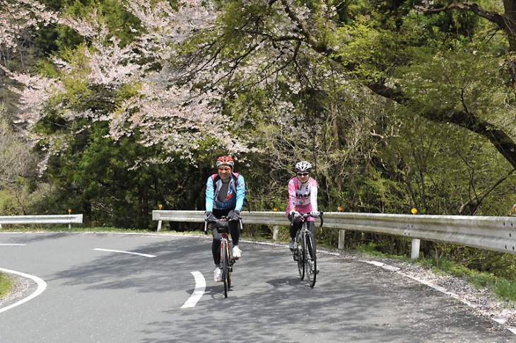 峠の前に桜を満喫