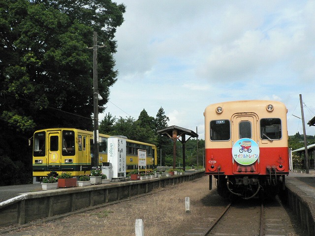 小湊鉄道の終着駅である上総中野駅の様子。右に乗車してきた小湊鉄道、左奥にこの先を運行する「いすみ鉄道」が発車準備をしている。小湊鉄道の車両にはサイクルトレイン、いすみ鉄道にはムーミンのヘッドマークをつけて並んで停車いるのも一興だ