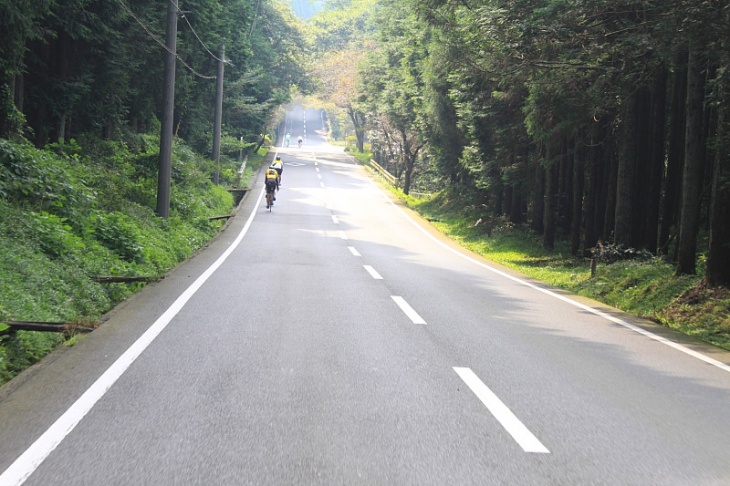 登りが続く林間道路。はるか前方でメタボ会長がもがく。