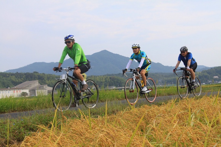 稲穂も垂れてもうすぐ秋の匂い