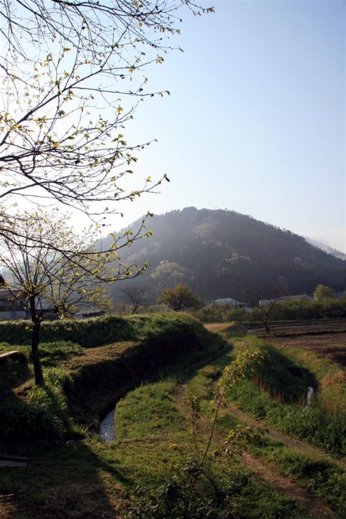 四季を感じさせる豊かな自然が残る美山町