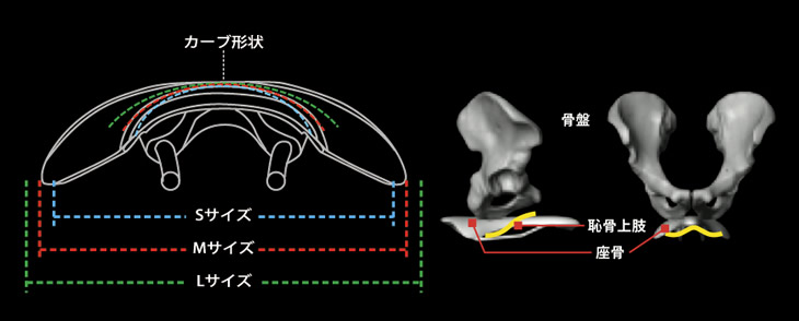 左右の恥骨上肢で支え、血流の悪化を防ぐ独自のカーブ設計