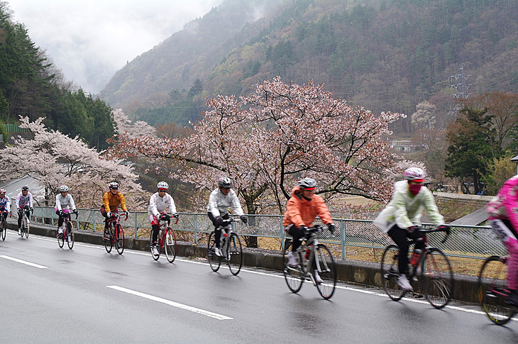 晴れていれば桜のある景色がもっと堪能できるのに・・