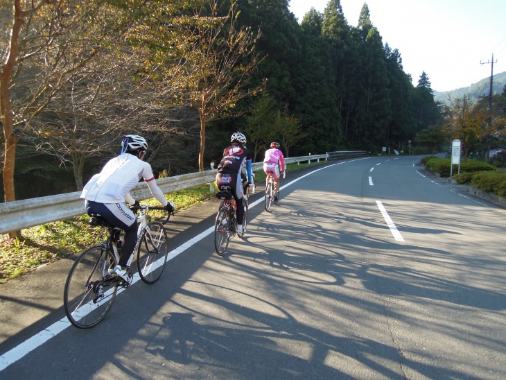 朝日で暖かくなってきた中を西に向かう”のんびり班”