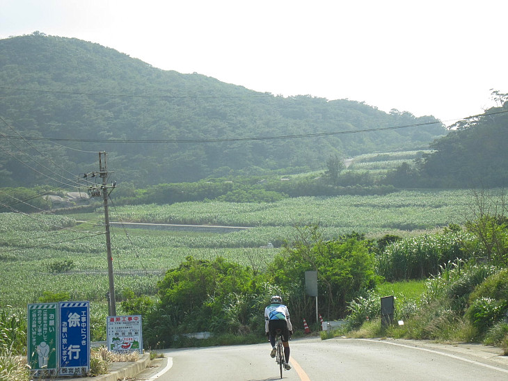 真謝手前。比屋定バンタからの下りも終わり。近くには久米島紬ユイマール館があります