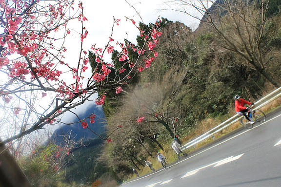 峠の片隅には、少し早い春が来ていた