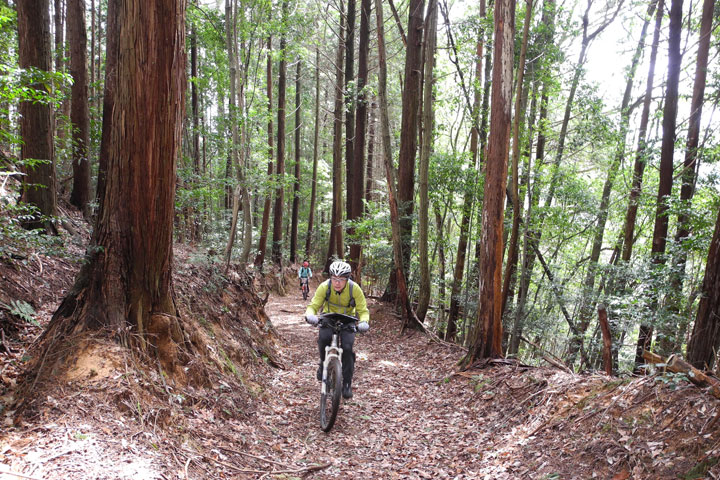 日本の里山ライドを満喫