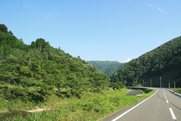 鶴ヶ岡方面は、まるで貸し切りのような道が続く