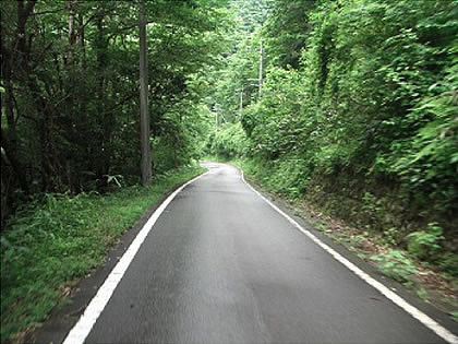 非常に走りやすい山道を行く