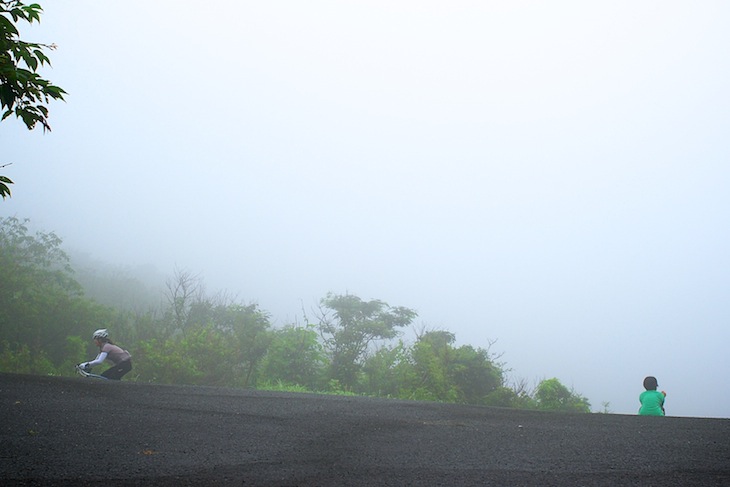 半島の南部には石廊崎の絶景が広がる……はずであった