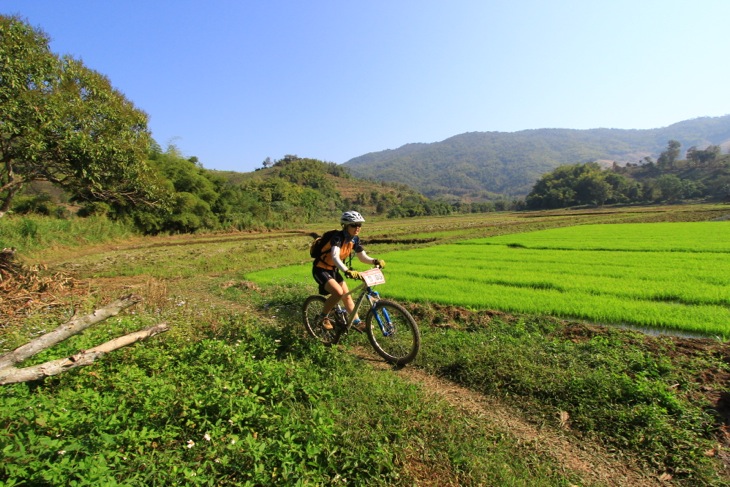 美しい田園地帯を走る