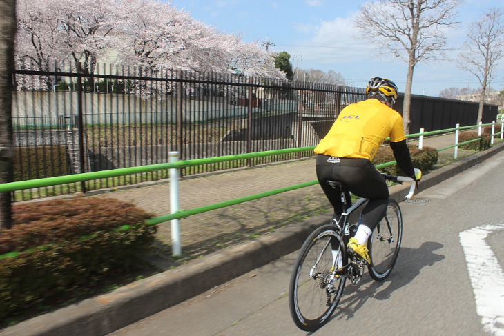 すっかり春めいてきた平野部の桜はほぼ満開だ。