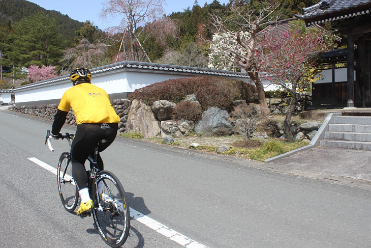 咲き誇る花々が美しい龍泉寺の庭園を通過。