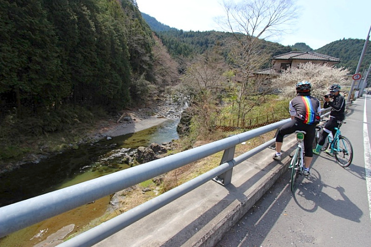 清々しい清流に満開の桜が佇む。心洗われる情景です。