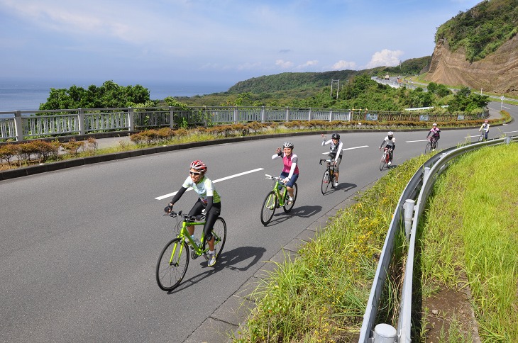 大島の自然を満喫しよう