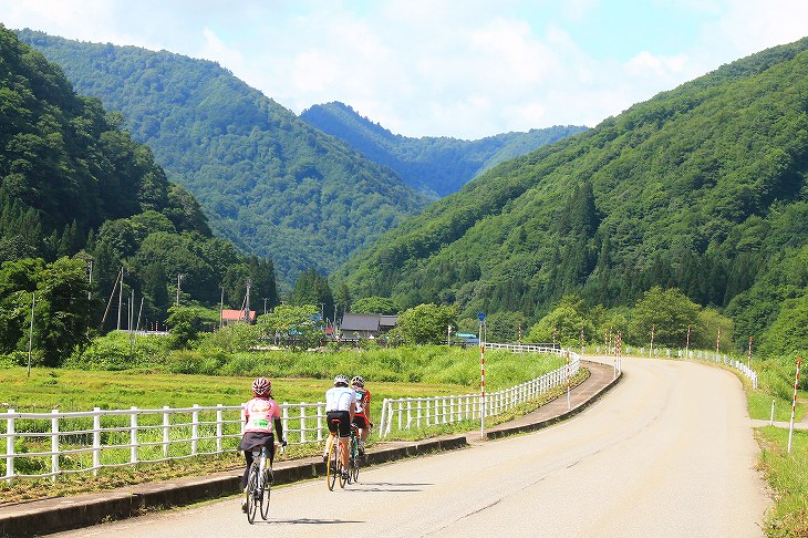 気持い景色の中を走っていく