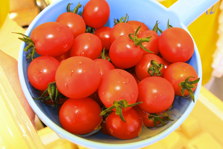 予想よりもずっと甘くて美味しかったミニトマト。食材は地産地消に限ります