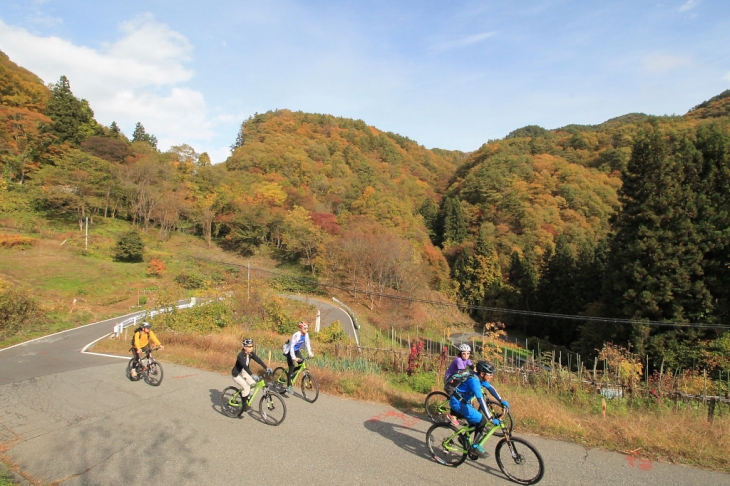 紅葉がきれいな峠を登っていきます