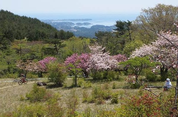 海を間近に望むたつがねMTB大会