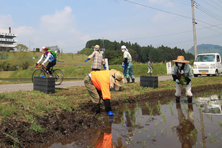 手作業で田植えをしている農家の方も。なんと毎年応援してくれているそう