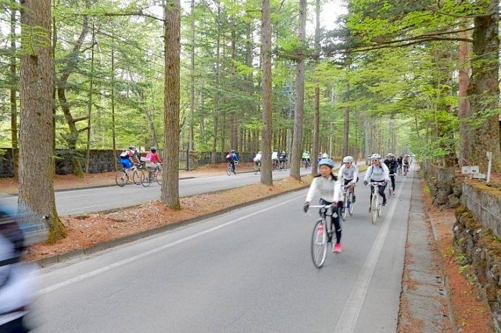 三笠ホテルに向かう林間路。とても気持ち良い区間です。