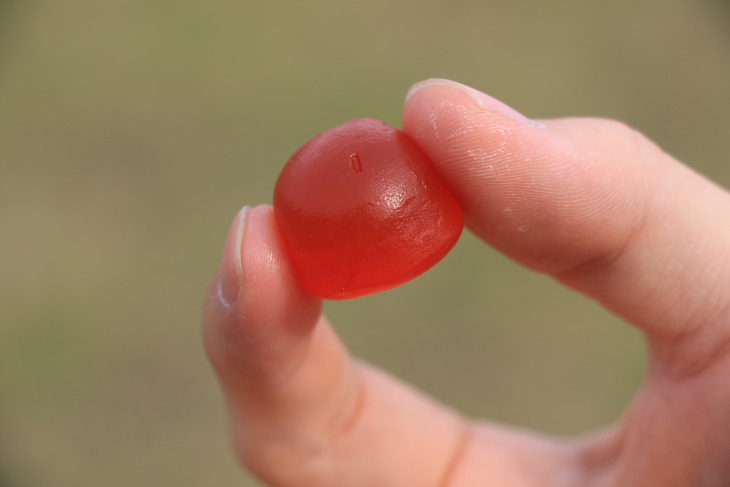 やや大きめの一口大サイズとされている。グミのような弾力のある食感ではなく、噛み切りやすいことが特徴だ