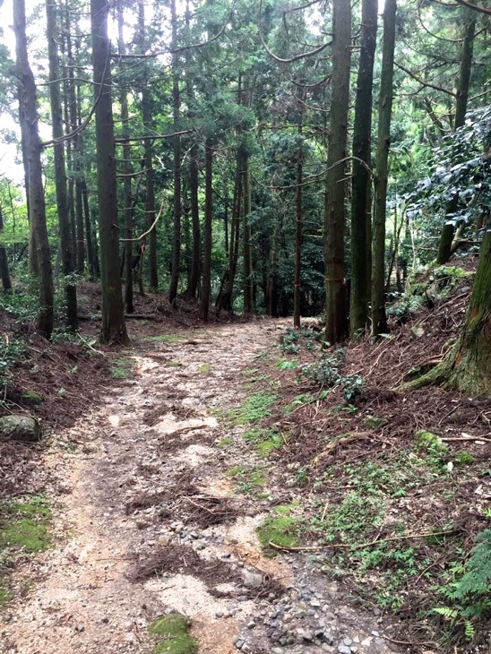 鈴鹿峠  こんな山道を自転車を担いで歩く