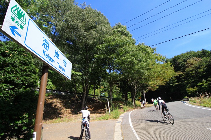 参加者を苦しめる海岸寺の登り