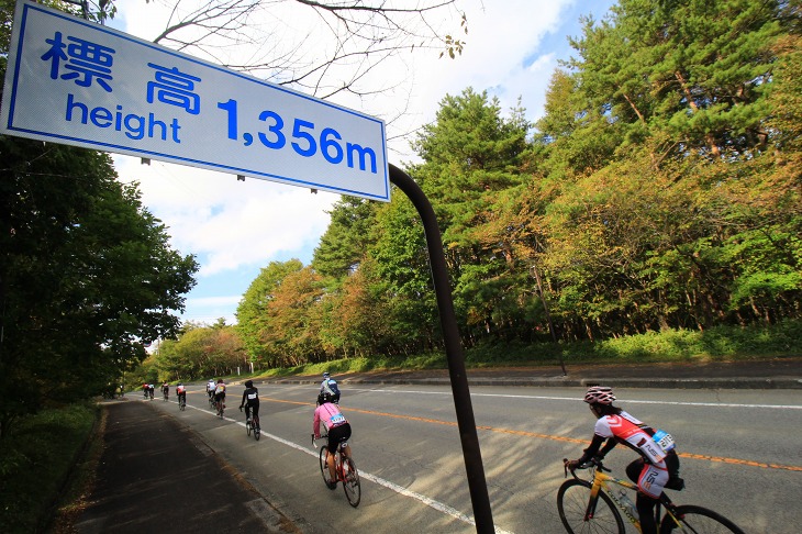 標高1,356m、もう少し登ればゴールはすぐそこ