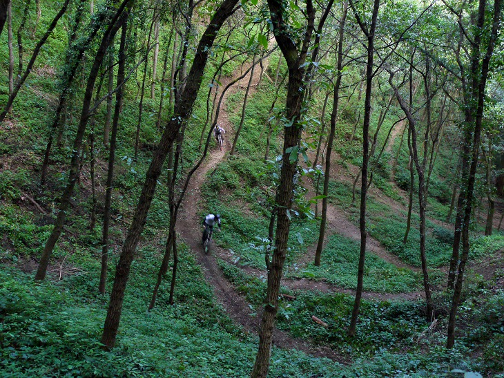 大自然の中に造られた巨大なMTBコース　内野宿バイシクルパーク