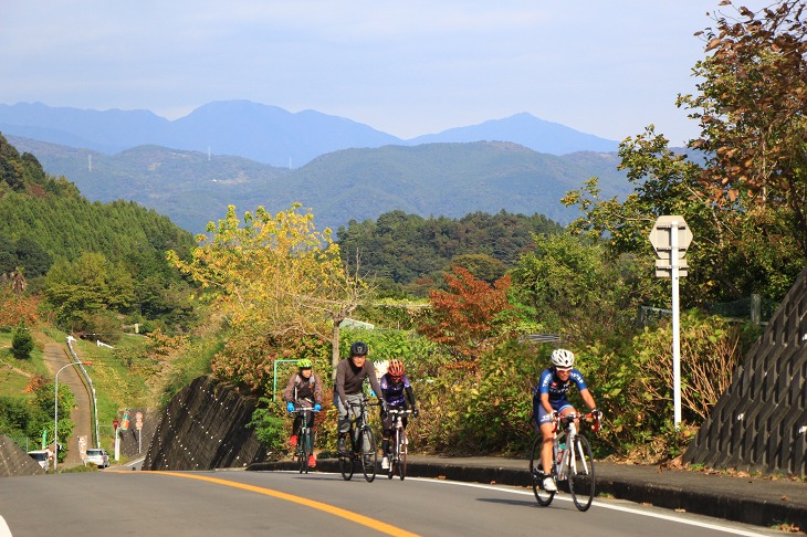 足柄峠へと続く道