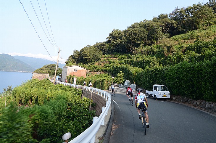 すでにみかんの収穫の始まった段々畑の中を抜ける