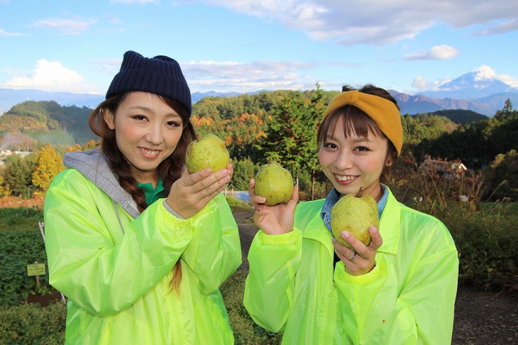 頂上ではラフランスがふるまわれました