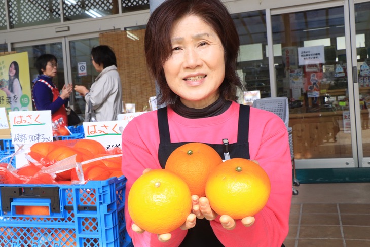 柑橘類も大分の名産品。取材に訪れた時にははっさくが一番美味しい季節だった