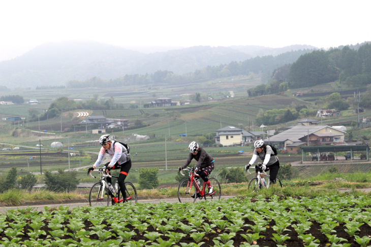 高原野菜を育てる畑が両手に広がるつまごいパノラマラインを駆け上がっていく