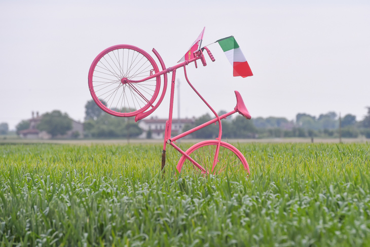 ピンクに塗られた自転車はもはや定番