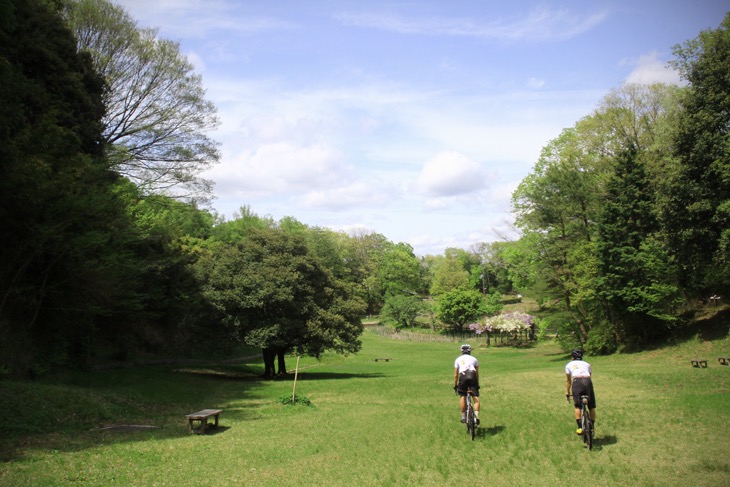 初夏のあたたかな日差しが注ぐ