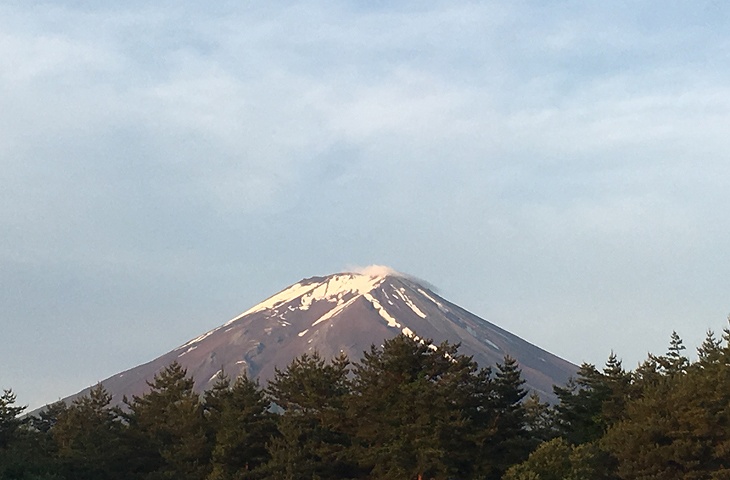 今年は四年に一度訪れる最高の天気だそうです。