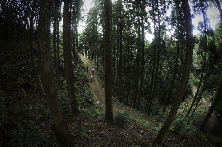 松野の山中を走る