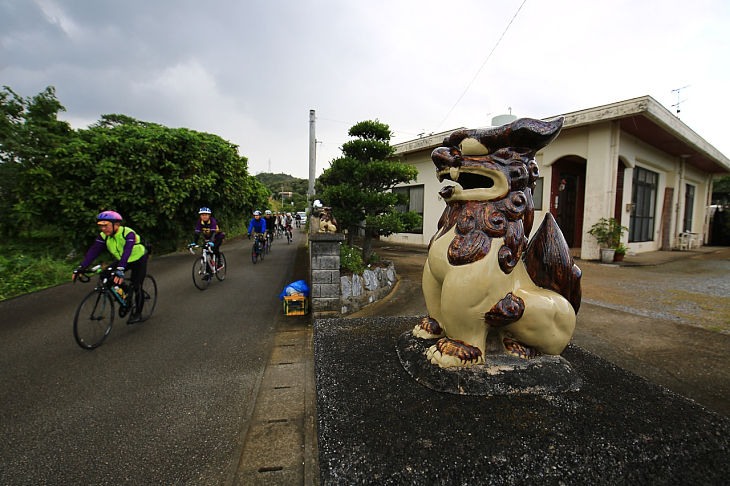 それぞれ家屋の入り口には沖縄の守り神シーサーが