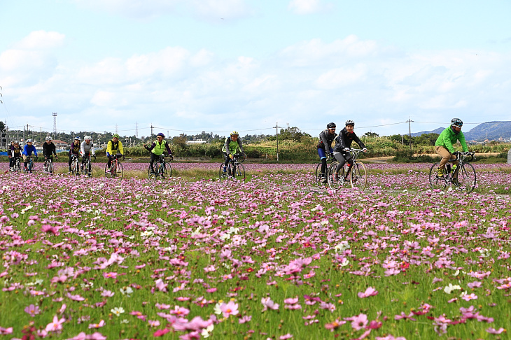 ガイド付きサイクリングなど自転車での沖縄ツーリズムへの対応にも触れられた