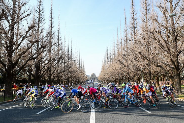 春を待つイチョウ並木を選手が通り抜ける