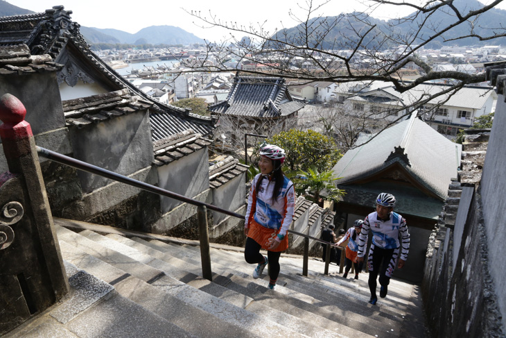 薬王寺に登ると、なんとも可愛い町が眼下に広がっている