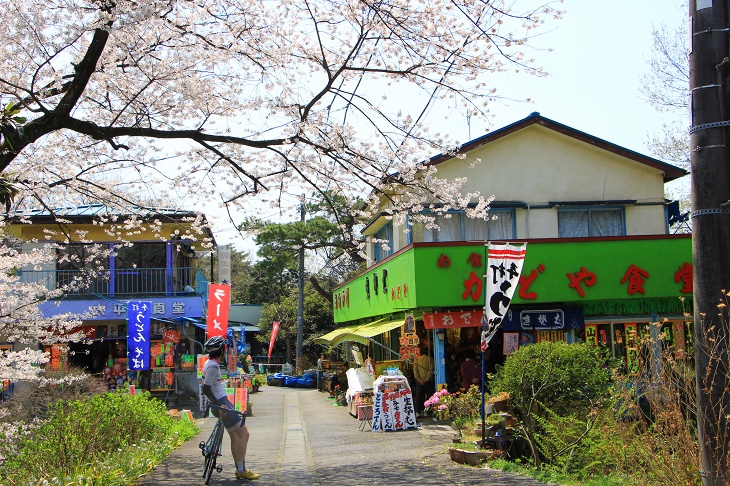 観音様の足元には商店が並ぶ参道があり、初詣や花見、紅葉の時期には多くの人で賑わう