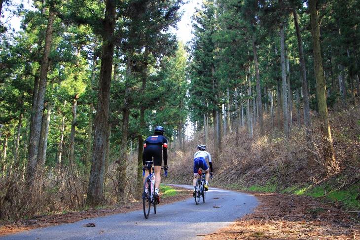 横川までの林道を行く